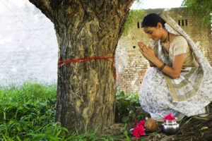 worship peepal tree