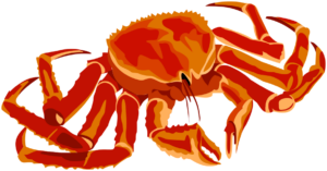 Cancer Crab